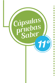 img capsulas saber11