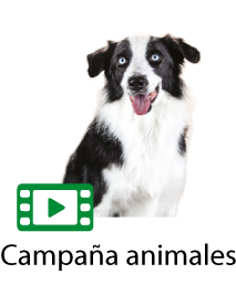 Campaña animales