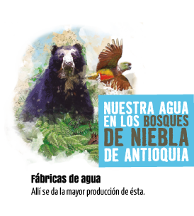 Nuestra agua en los bosques de niebla. Fábricas de agua. Allí se da la mayor producción de ésta.