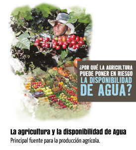 ¿Por qué la agricultura puede poner en riesgo la disponibilidad de agua?. La agricultura y la disponibilidad de Agua. Principal fuente para la producción agrícola.
