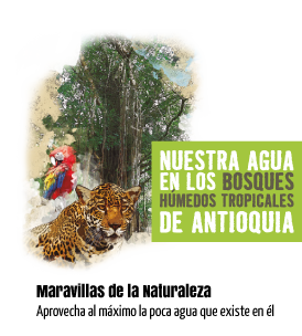 Nuestra agua en los bosques húmedos tropicales. Maravillas de la Naturaleza. Aprovecha al máximo la poca agua que existe en él