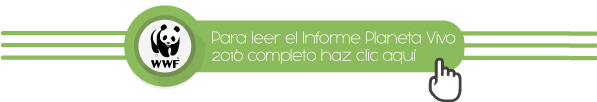 Informe2016