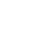 Desarollo