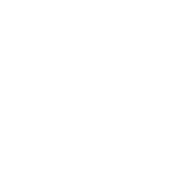 Robotica