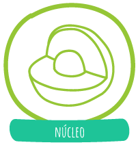 nucleo