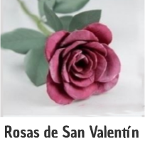 rosas