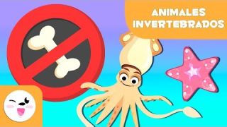 ANIMALES INVERTEBRADOS  - Artrópodos, moluscos, gusanos, celentéreos, equinodermos y esponjas