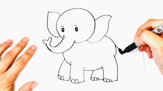 Como dibujar un Elefante Bonito | Dibujos Fáciles Para Niños