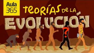 Las Teorías de la Evolución: Fijismo vs transformismo | Videos Educativos para Niños