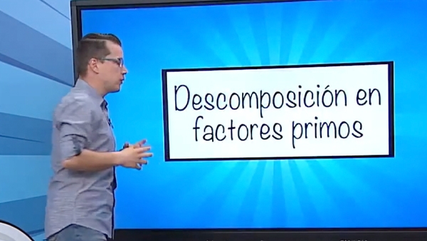 Descomposición de factores