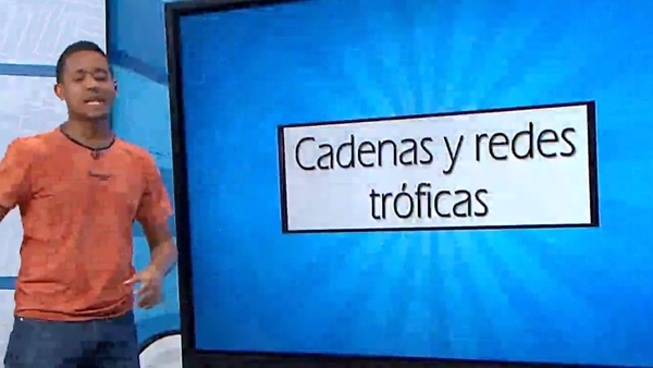 Redes tróficas