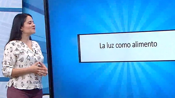 La luz como alimento