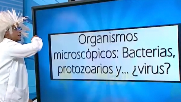 Organismos microscópicos